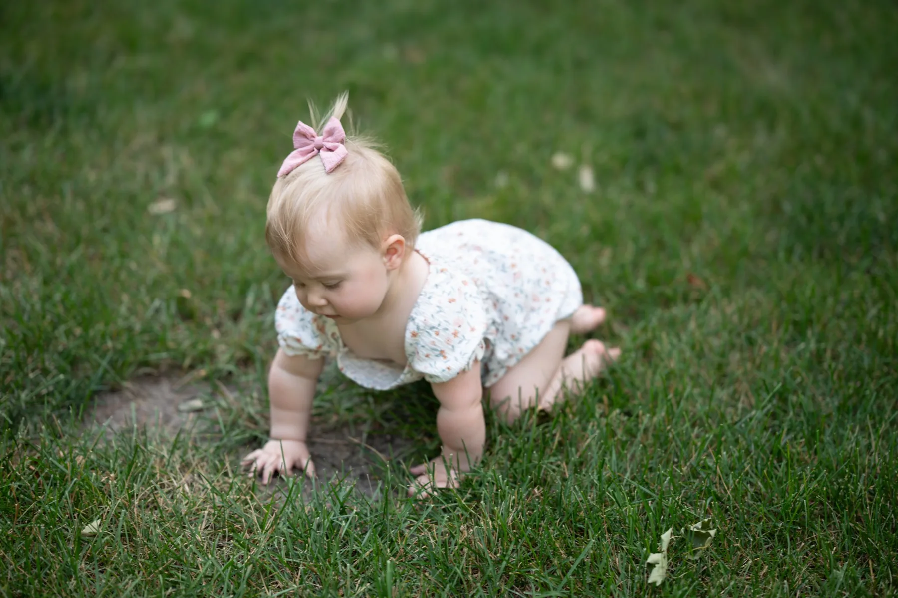 Family photography — baby girl crawling in grass — Amy Minikus Photo + Film