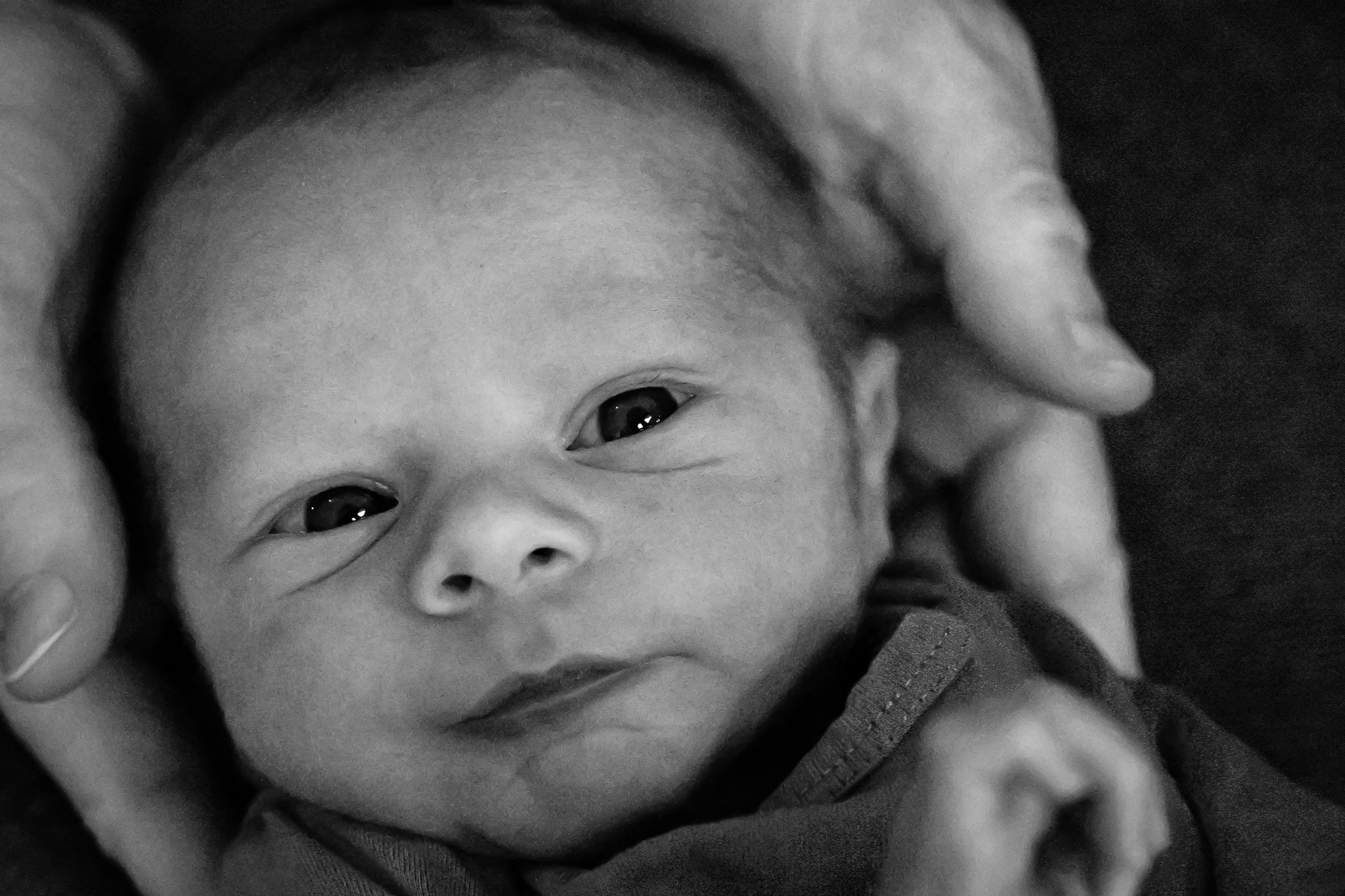 Newborn photography — newborn portrait with parent's hands — Amy Minikus Photo + Film