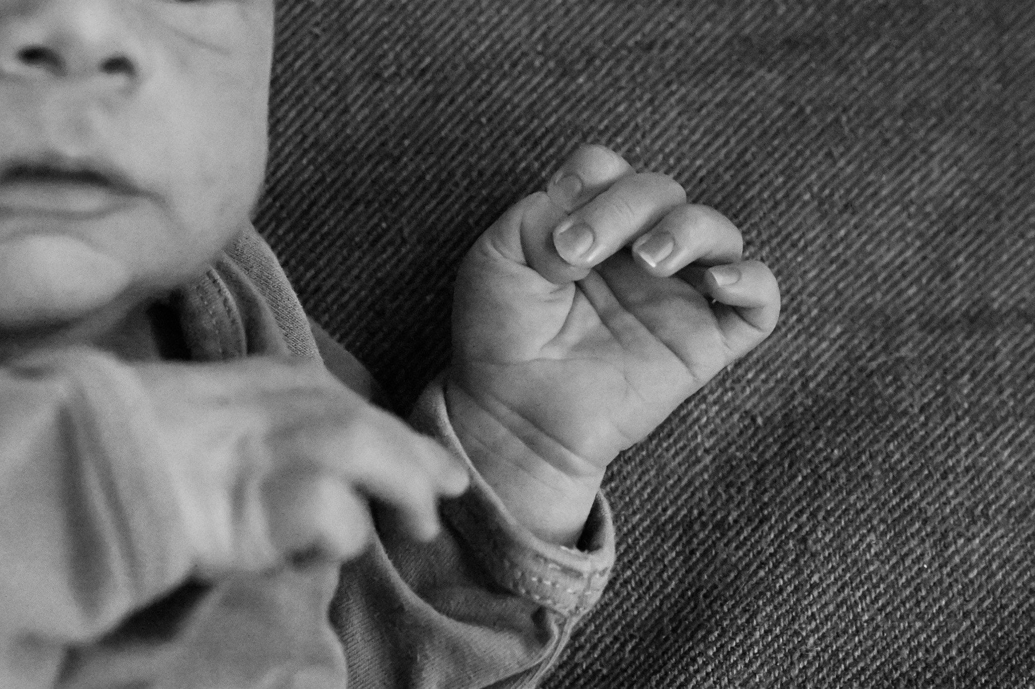 Newborn photography — newborn tiny hand detail — Amy Minikus Photo + Film